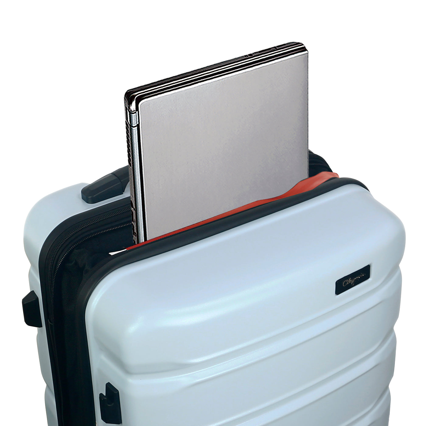 Raptor 29" Expandable Large Size Spinner