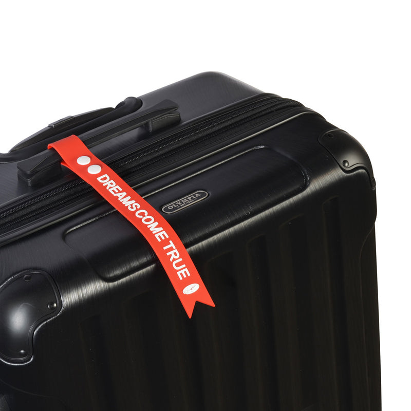 2-Piece Luggage Long Tag Set